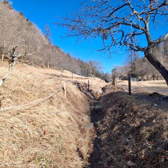 丸川峠。風が冷たくて早く樹林帯に逃げ込みたい。