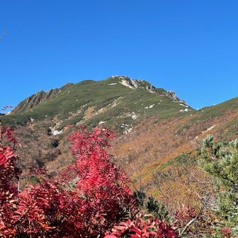 紅葉🍁と空木岳⛰️