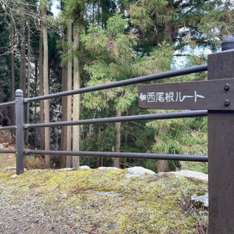 西尾根ルートから