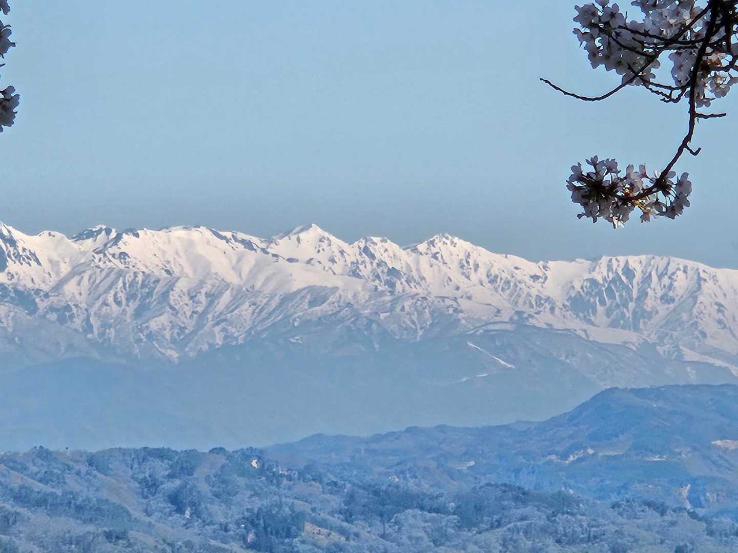 光城山 往復コースの写真