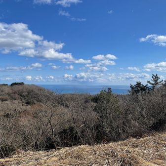 レーダー雨量観測所の脇からの
太平洋👍

