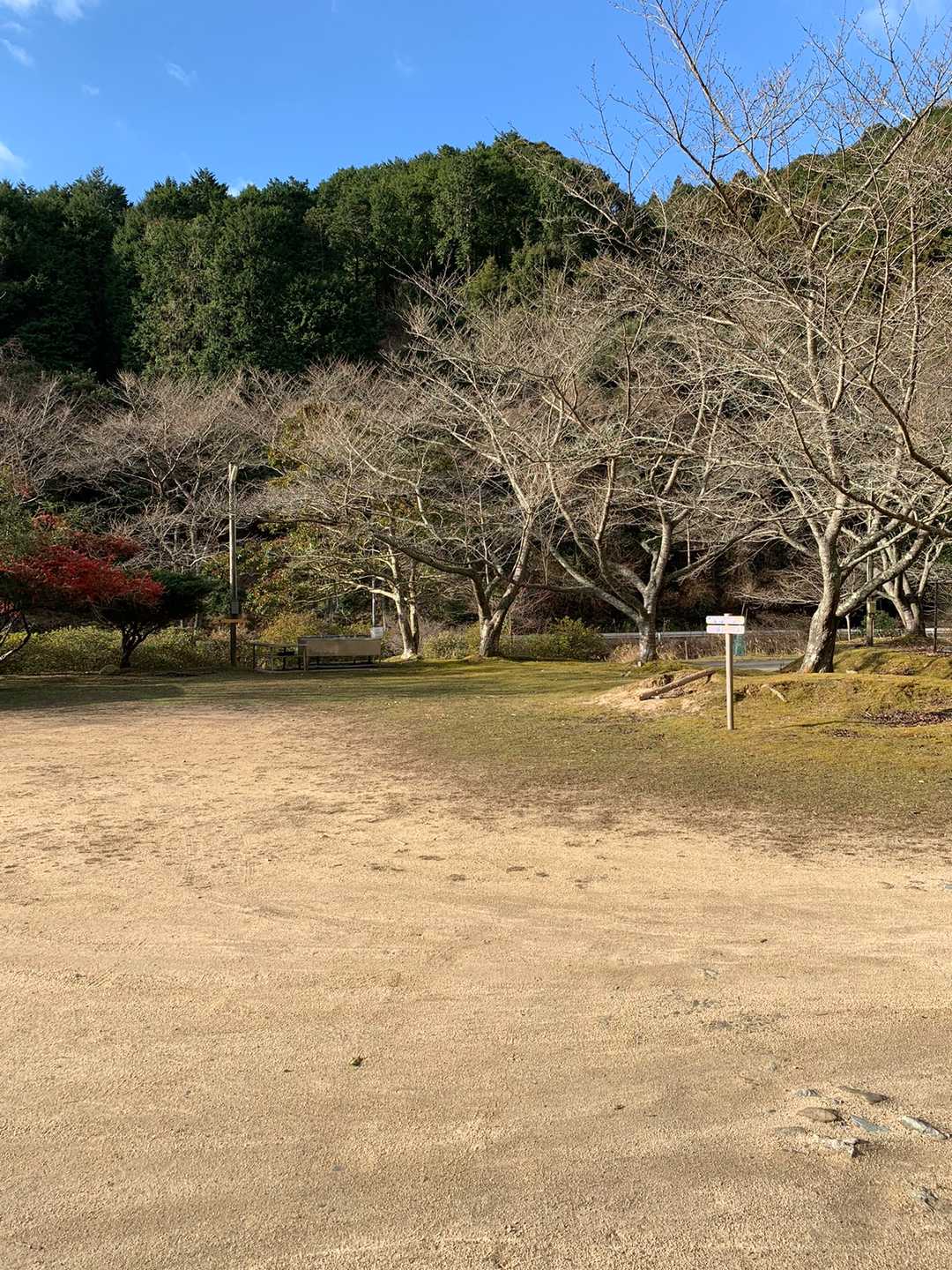 駐車場停め放題