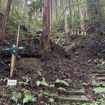 階段すぎてウンザリ😮‍💨お城跡みたかったケド、、
