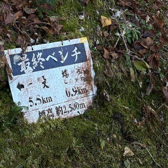 階段キツくて途中写真忘れた