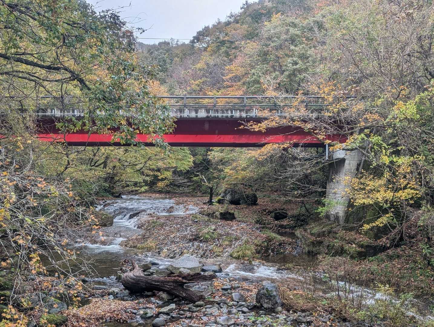三方倉山 周回コースの写真