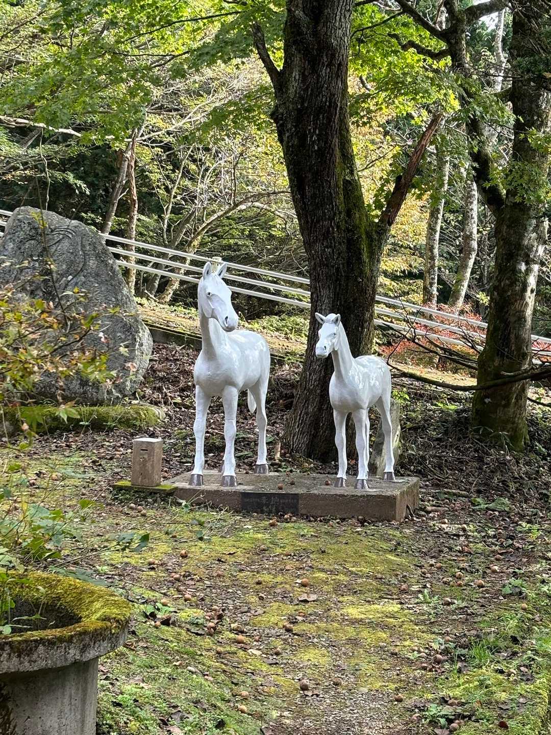 2頭の白馬。