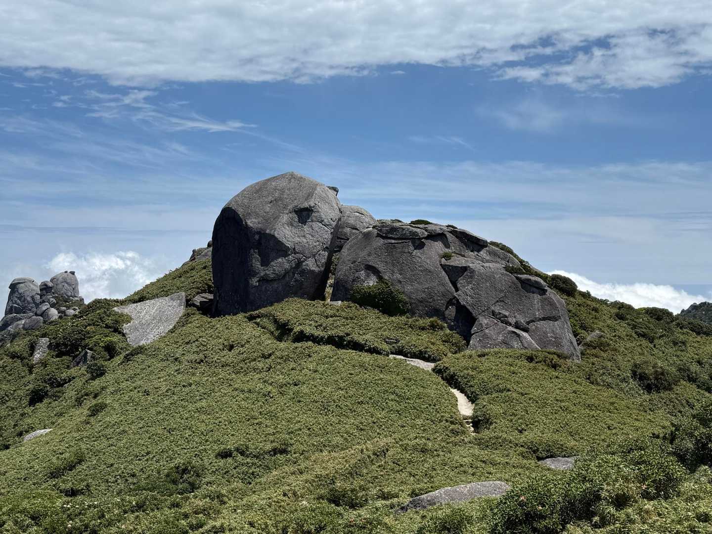 淀川登山口-花之江河-宮之浦岳-縄文杉-夫婦杉-大王杉-ウ 縦走コースの写真