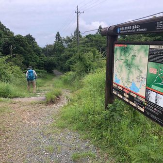 では下山します。八名で集団下山です。途中、シタキソウとイワガラミを見学します。