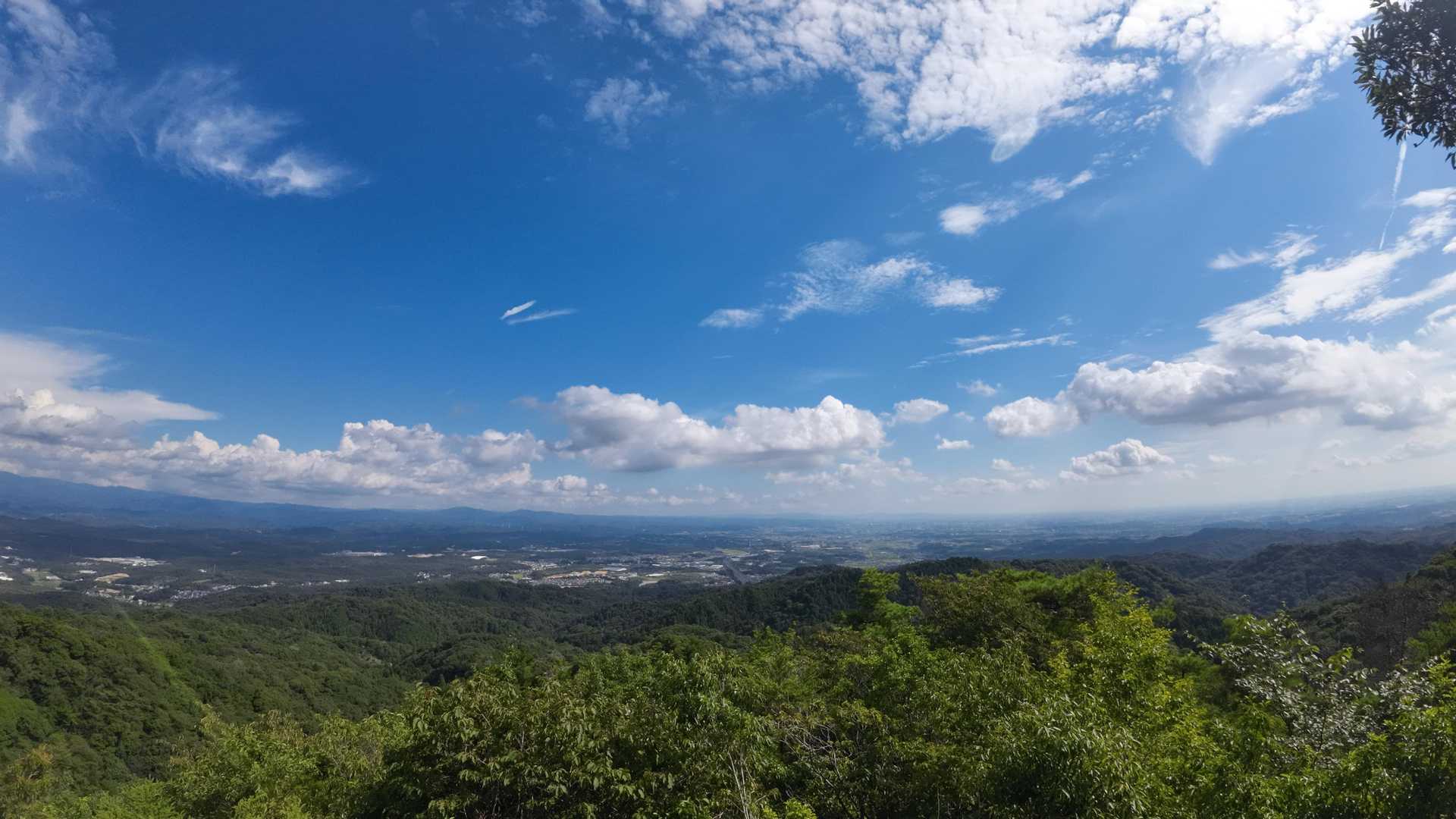 東昌寺-東の宮-猿投山 縦走コースの写真