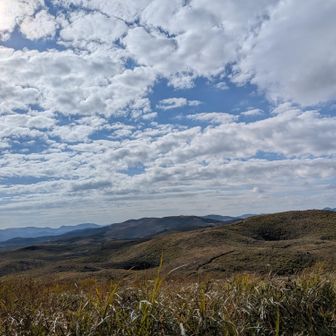 ☝️来年は
山焼きがありますように🙏　
