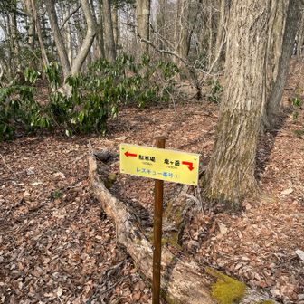 ここで少し迷子になったが