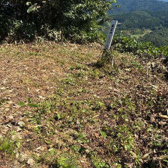 ここからの景色はとても素晴らしかったです