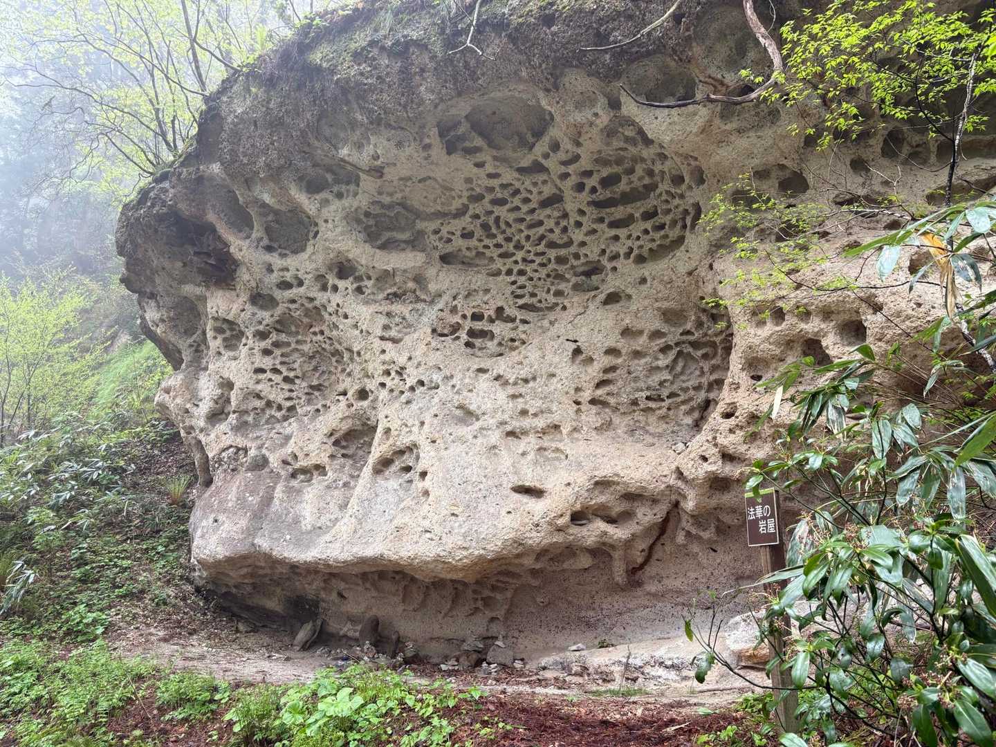法華ノ岩屋-権現座-烏帽子座 周回コースの写真