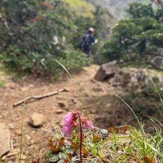 阿弥陀岳が見えた