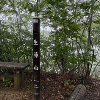 生藤山到着