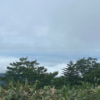 雲海の向こうに瀬戸内海