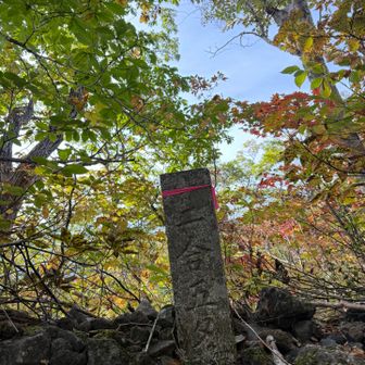 まだ紅葉はじめ2.5合目
