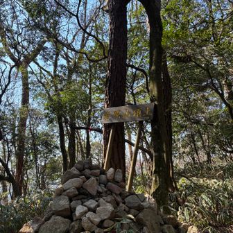 ピークハントに寄ってみた。その①