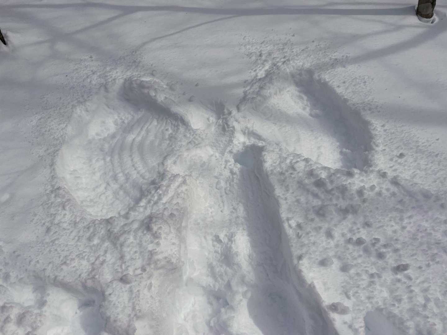 パタパタ🪽エンジェル👼