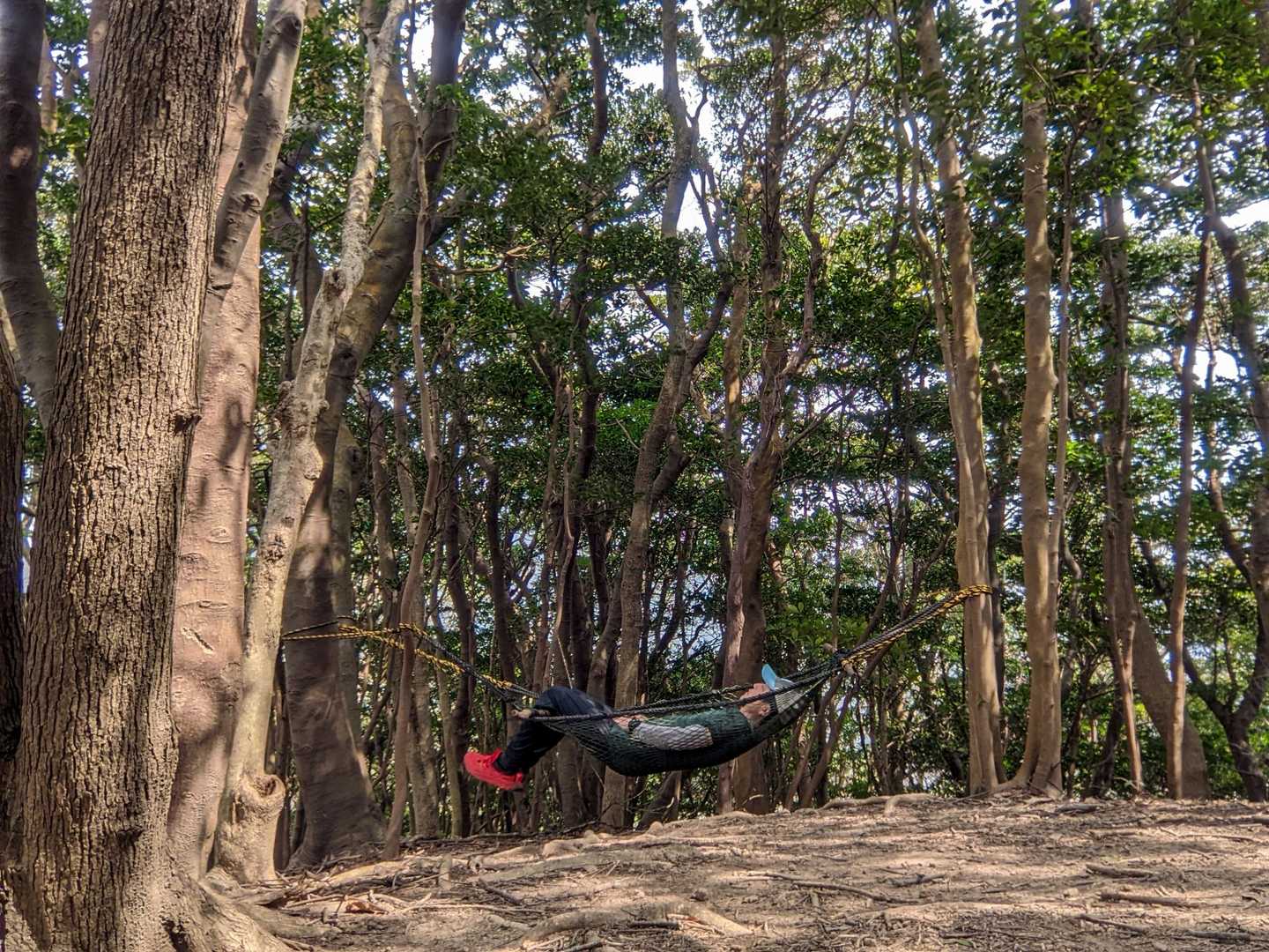 ぷら〜ん
今日はこれでおしまい。😁