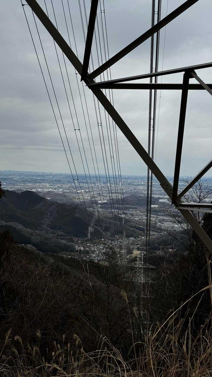 大山（ヤビツ峠〜大山〜鶴巻温泉）縦走 の写真 35