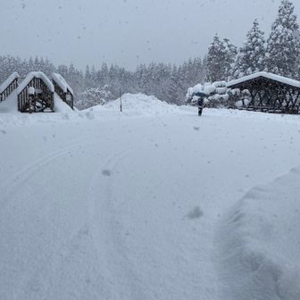 飛び込みたい。又はラブ作成したい❤️