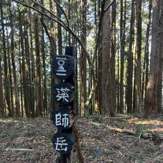 薬師岳
ここは眺望なし