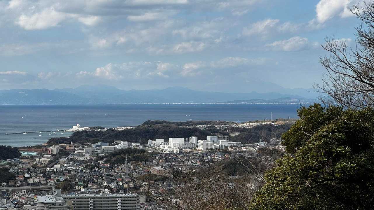 三浦富士・砲台山・武山・大楠山（大楠山・三浦富士ロングトレイル） の写真 24