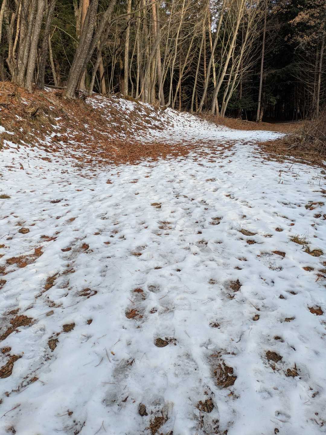 アラッ❣
雪道！早朝なのでガリガリ🧊