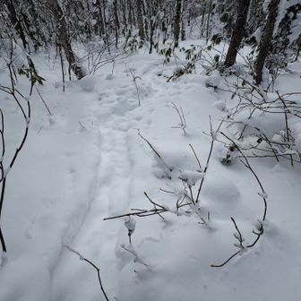 阿部さんちまでと思ってきたけど、峯越まで行っちゃおー✊