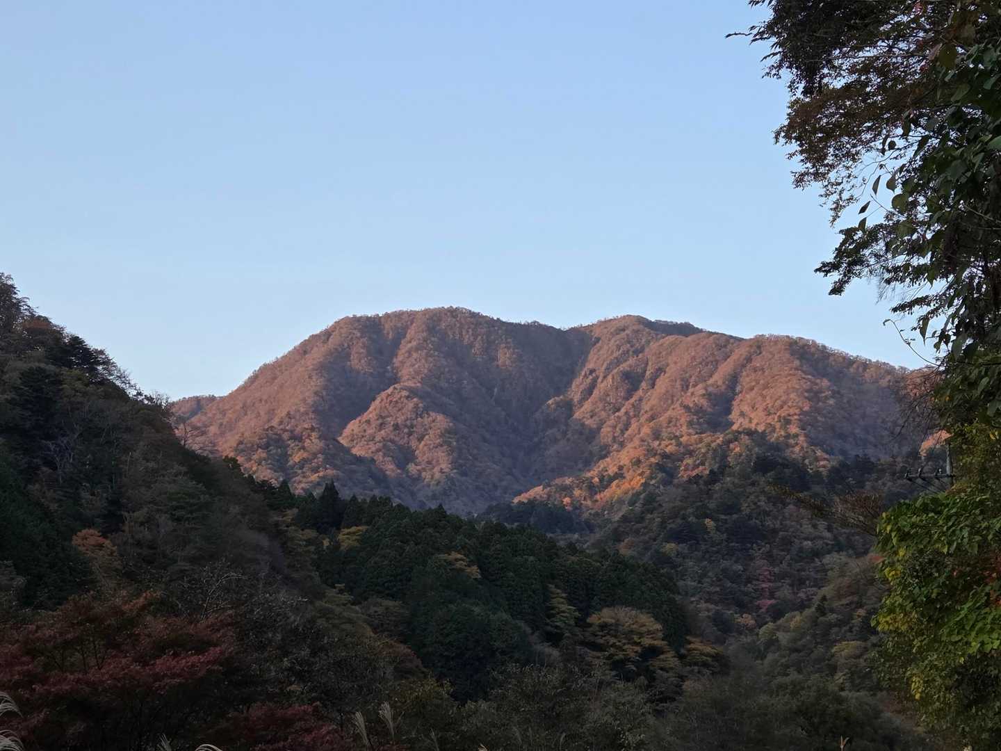 下山!
大室山が焼けてました