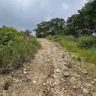山名石柱が見えてきます。山頂には誰も居ません。