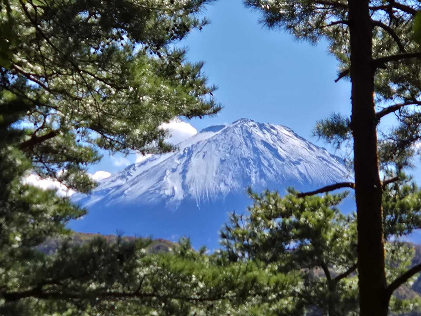 最後に見せてくれた✨