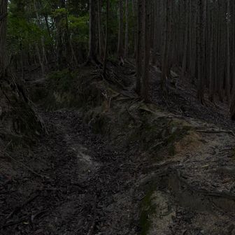 下りで1合目
登りでは気づいてなかったけど
看板から左側に道が
最初の大きな一歩は回避できるかなぁ