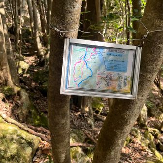 間違えて鳳来湖に降りていた。鳳来湖の方から声が聞こえる。そのおかげで鳳来湖に向かっていることがわかった。どうやらてんからたろうさんだったらしい🤣すごく安心したんだよ。ありがとう。でも下まで降りてたら会えてたのかもね。