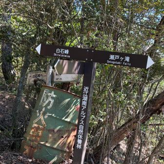 白石峰の方へ🥾