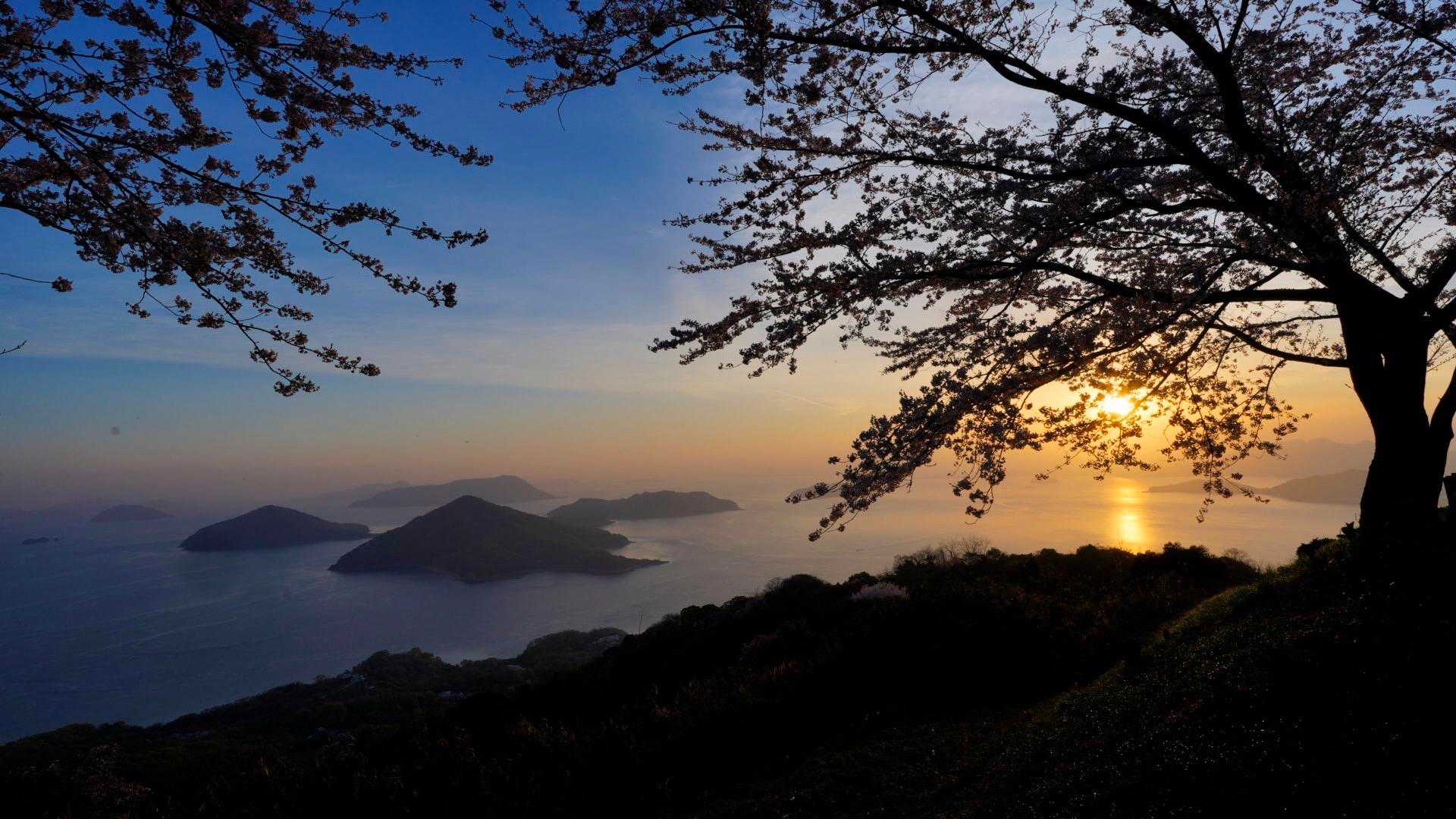 大浜登山口-紫雲出山 往復コースの写真