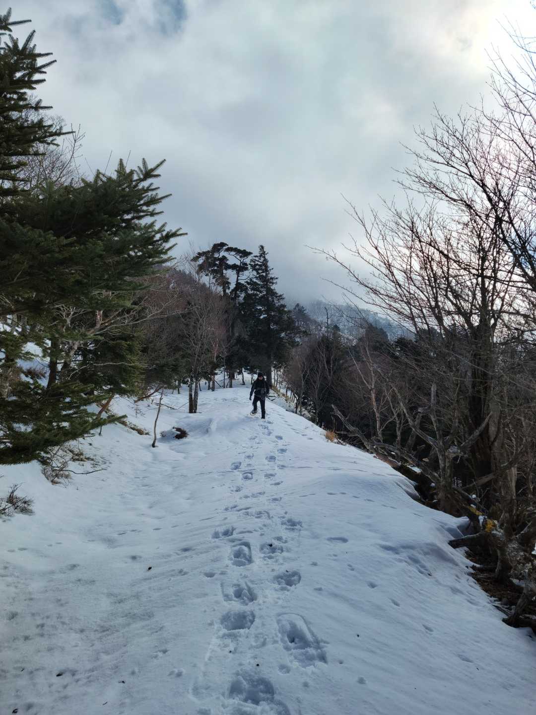 普段歩かない所を存分に歩く