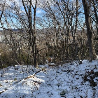 館跡があるだけ人為的な道のようなものが沢山ある。枝道に少しだけ入ったけど北側の眺望は樹間である為戻る。