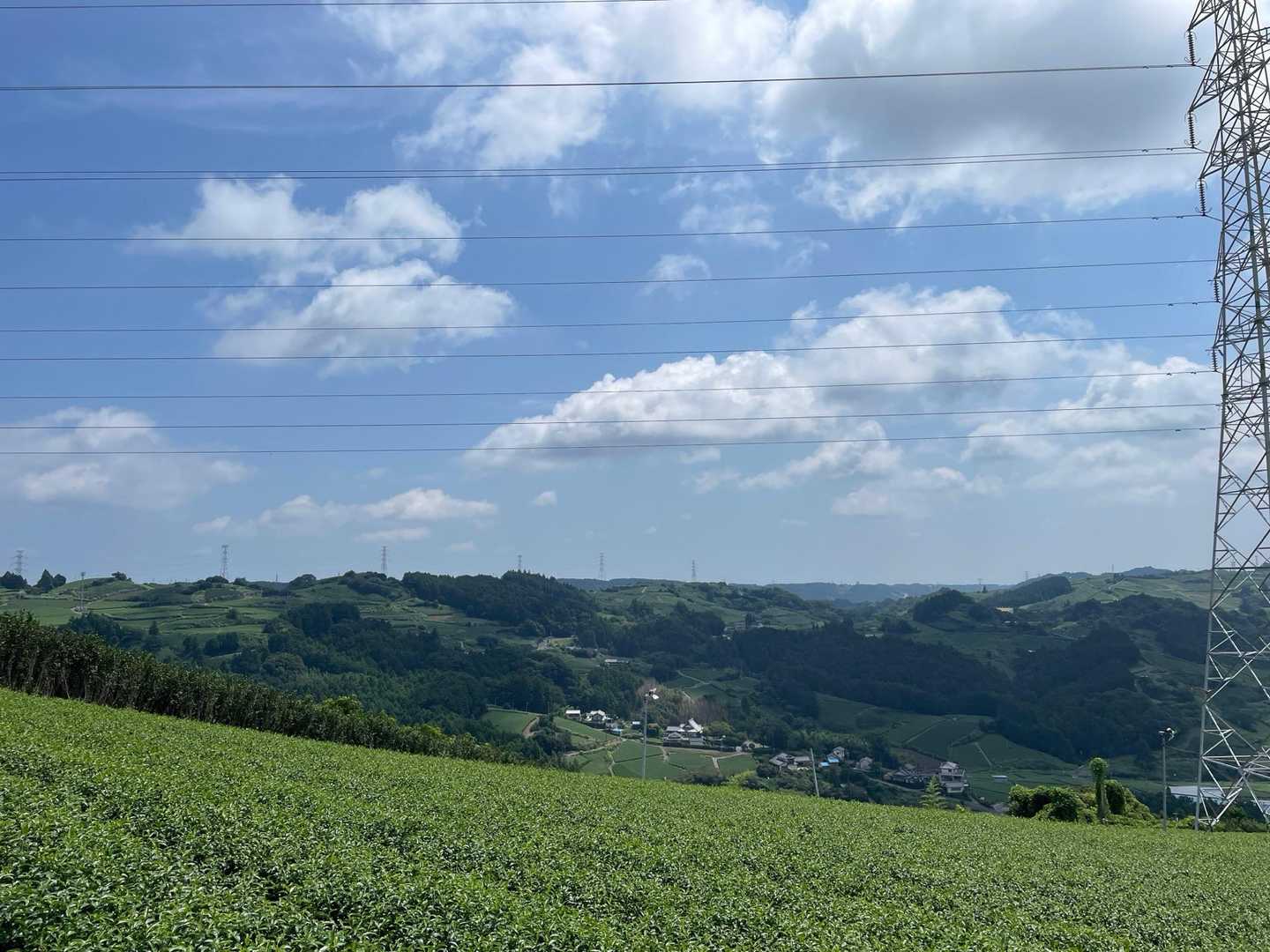 お茶🍵最高〜✨
