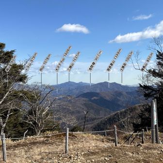 三頭山横の大岳山、登ったな〜とパシャリ