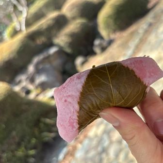 今日のおやつ🍪☕️💕