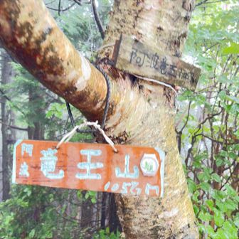 あっという間に最高峰の山頂へ