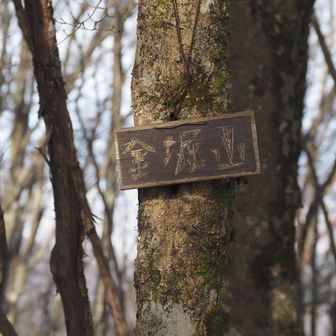 味わいのある金堀山のプレート