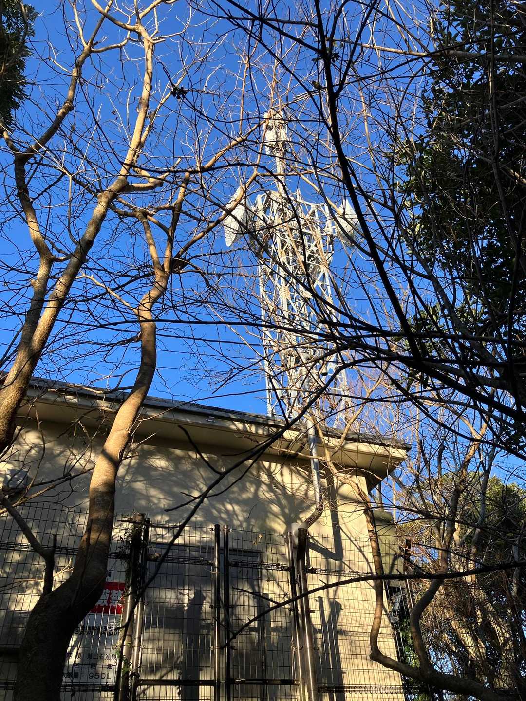 裏山には電波塔があります。山頂の標識や三角点は見当たりません。