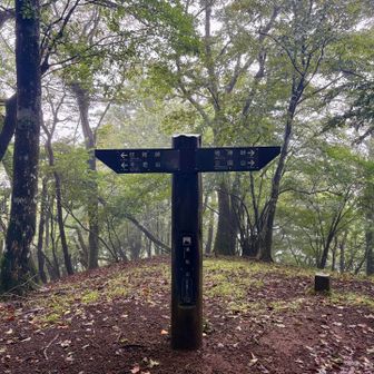 湯船山山頂
尾根伝いにいくつも小ピークがある
