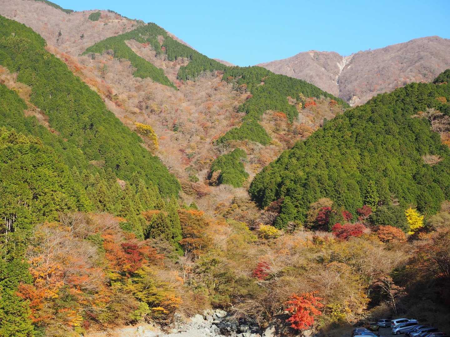 朝から快晴。紅葉が映えます。