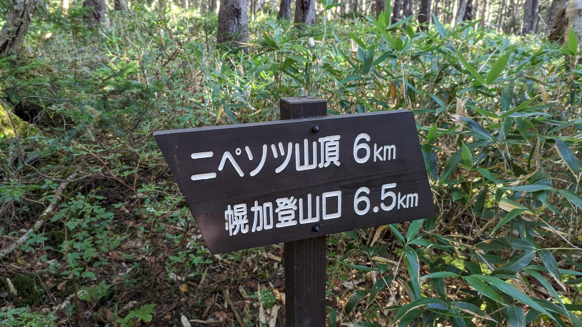 中間地点