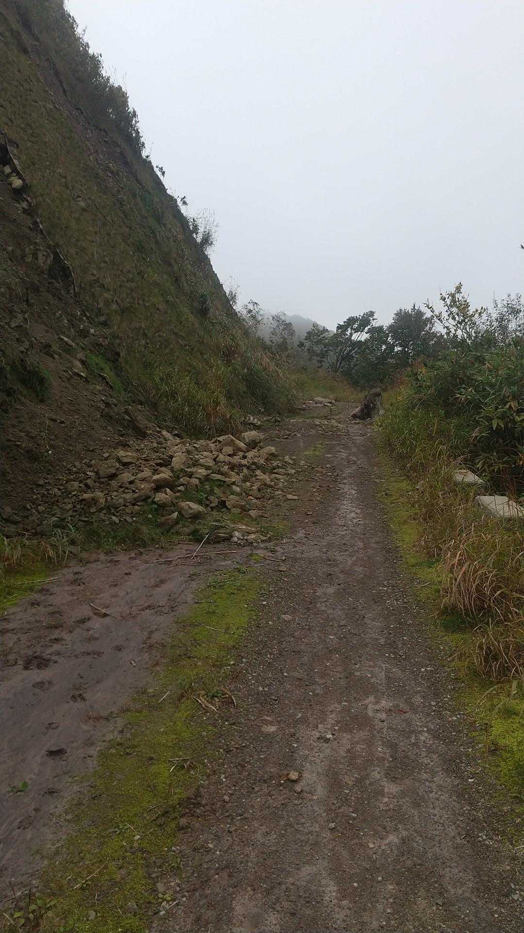 林道を戻ります