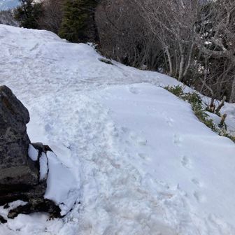 時間も遅いので下山します。